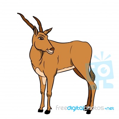 Illustration Of Impala -  Illustration Stock Image