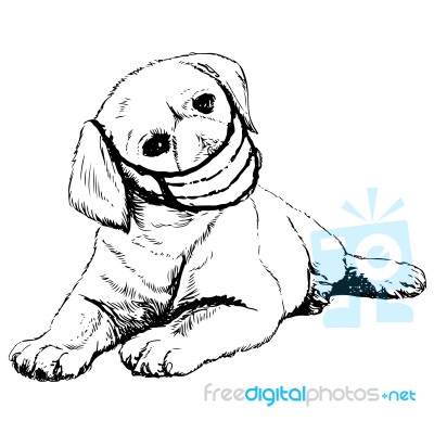 Illustration Of Labrador Retriever Dog With Mask Stock Image