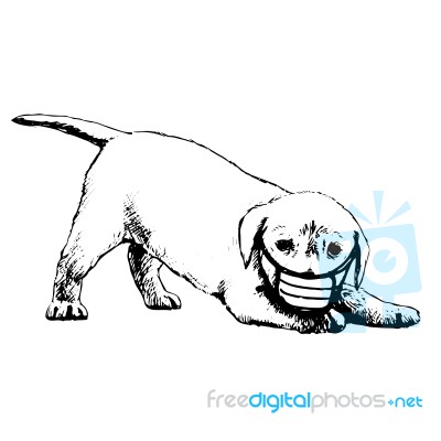 Illustration Of Labrador Retriever Dog With Mask Stock Image