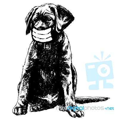 Illustration Of Labrador Retriever Dog With Mask Stock Image