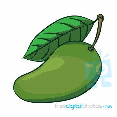 Illustration Of Mango- Illustration Stock Image