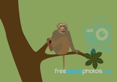  Illustration Of Monkey Stock Image