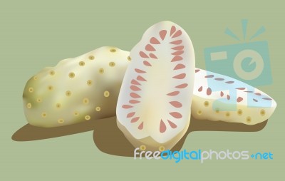  Illustration Of Noni Stock Image