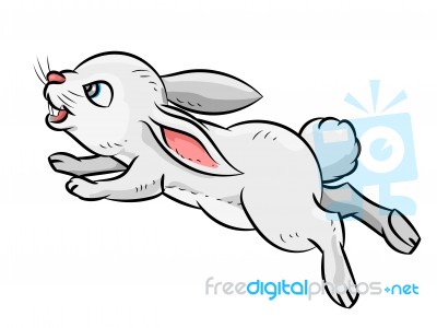 Illustration Of Rabbit -  Illustration Stock Image