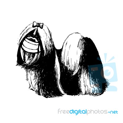 Illustration Of Shih Tzu Dog With Mask Stock Image