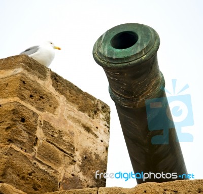 In Africa Morocco  Green Bronze Cannon And The Blue Sky Stock Photo