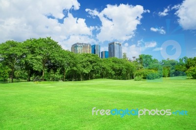 In City Parks, Lawns Stock Photo