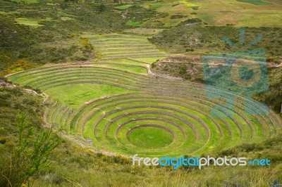 Inca Agriculture Field Stock Photo