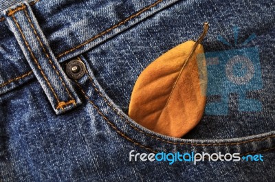 Indigo Jeans Stock Photo