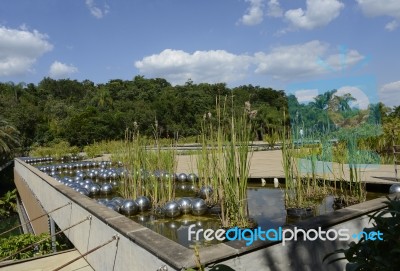 Inhotim Public Art Museum In The Brazilian State Of Minas Gerais… Stock Photo