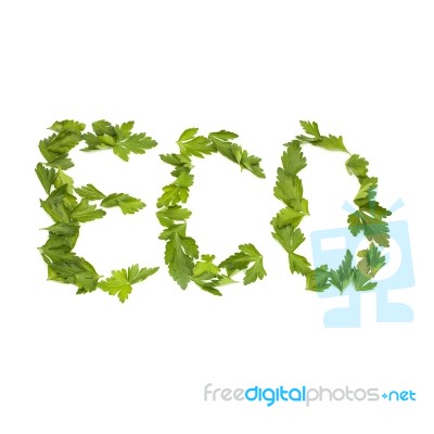 Inscription Eco Is Composed Of Green Parsley Leaves, Isolated On… Stock Photo