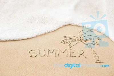 Inscription Of The Word Summer And Palm Tree Drawing On Wet Yell… Stock Photo