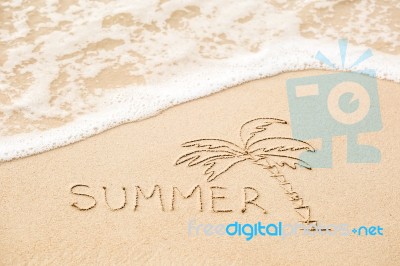 Inscription Of The Word Summer And Palm Tree Drawing On Wet Yell… Stock Photo