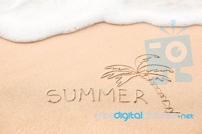 Inscription Of The Word Summer And Palm Tree Drawing On Wet Yell… Stock Photo