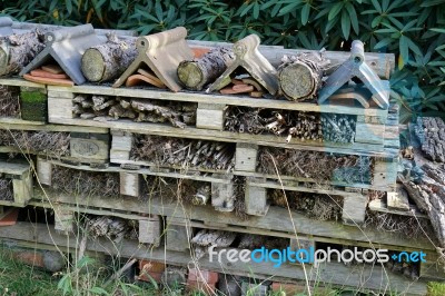 Insect Hotel Stock Photo