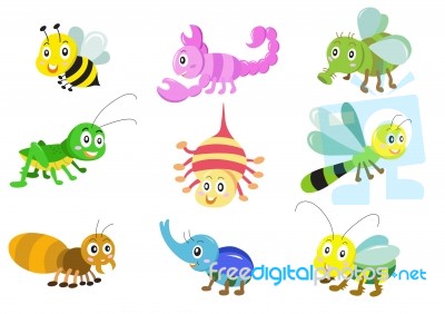 Insects Stock Image