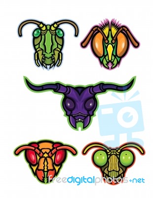 Insects Mascot Collection Stock Image