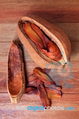 Inside Of Broad Leaf Mahogany Seed Stock Photo