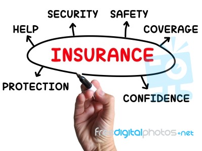 Insurance Diagram Shows Protection Coverage And Security Stock Image