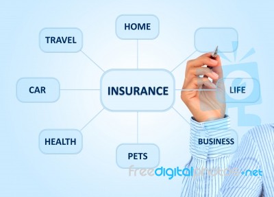 Insurance Plan Stock Photo