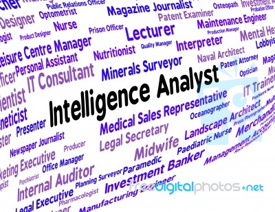 Intelligence Analyst Representing Intellectual Capacity And Analysts Stock Image