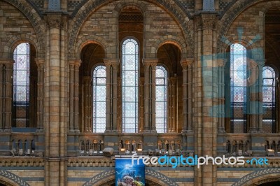 Interior View Of The Natural History Museum In London Stock Photo