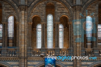 Interior View Of The Natural History Museum In London Stock Photo