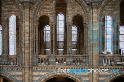 Interior View Of The Natural History Museum In London Stock Photo