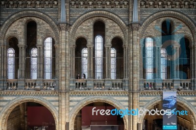 Interior View Of The Natural History Museum In London. Unidentif… Stock Photo