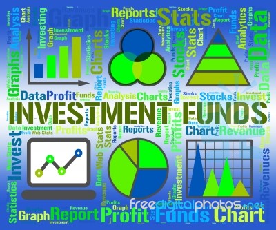 Investment Funds Indicates Business Graph And Chart Stock Image