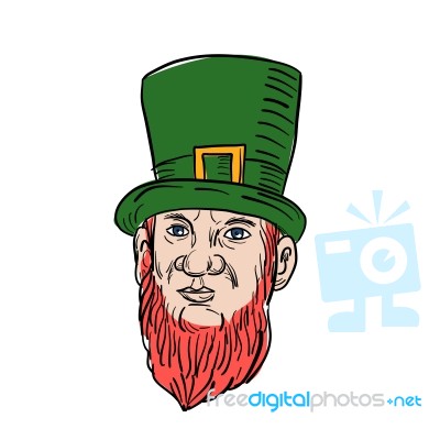 Irish Leprechaun Wearing Top Hat Drawing Stock Image