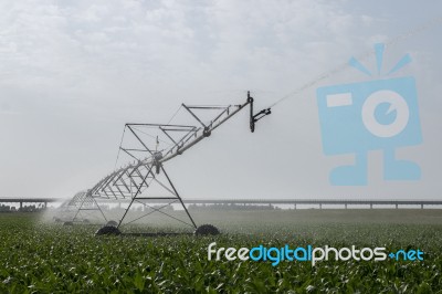 Irrigation Of Corn Field Stock Photo