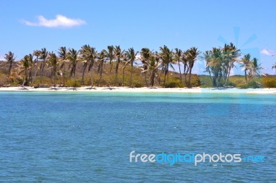 Isla Contoy   In Mexico Day  Wave Stock Photo