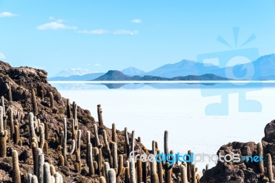 Isla De Pescadores, Salt Lake Uyuni In Bolivia Stock Photo