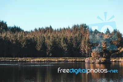 Island In The Middle Of A Lake Stock Photo