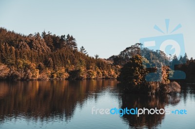 Island In The Middle Of A Lake Stock Photo