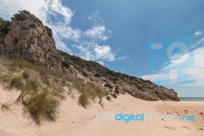 Isolated Beach Stock Photo