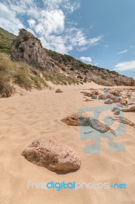 Isolated Beach Stock Photo