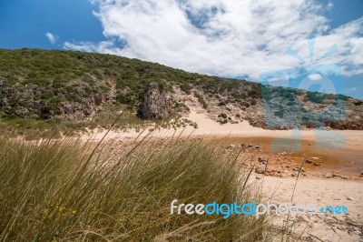 Isolated Beach Stock Photo