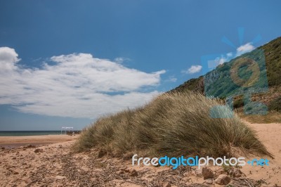 Isolated Beach Stock Photo