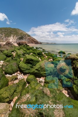 Isolated Beach Stock Photo