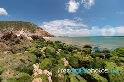 Isolated Beach Stock Photo