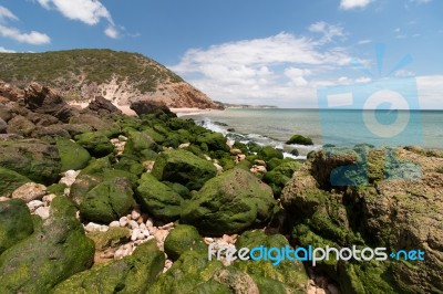 Isolated Beach Stock Photo