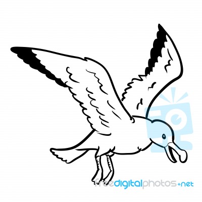 Isolated Gull Cartoon- Hand Drawn Illustration Stock Image