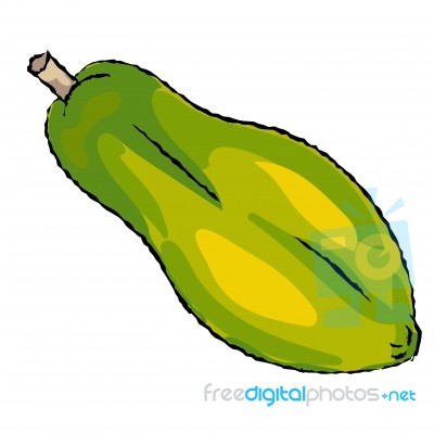 Isolated Papaya Cartoon - Illustration Stock Image