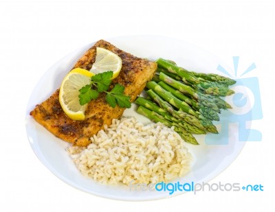 Isolated Salmon Dinner Stock Photo