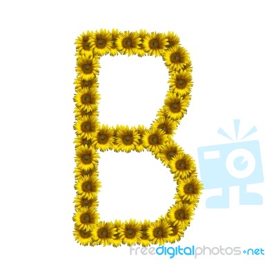 Isolated Sunflower Alphabet B Stock Photo