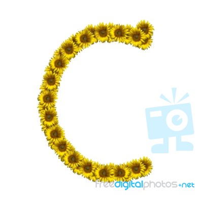 Isolated Sunflower Alphabet C Stock Photo