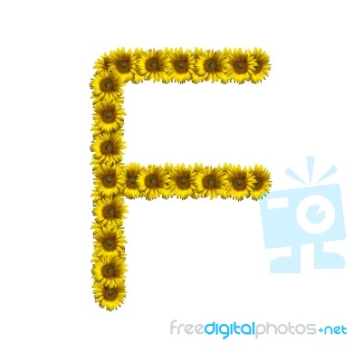 Isolated Sunflower Alphabet F Stock Photo