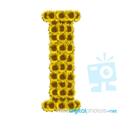 Isolated Sunflower Alphabet I Stock Photo